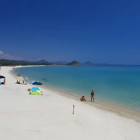 Is Laccus 8 카스티아다스